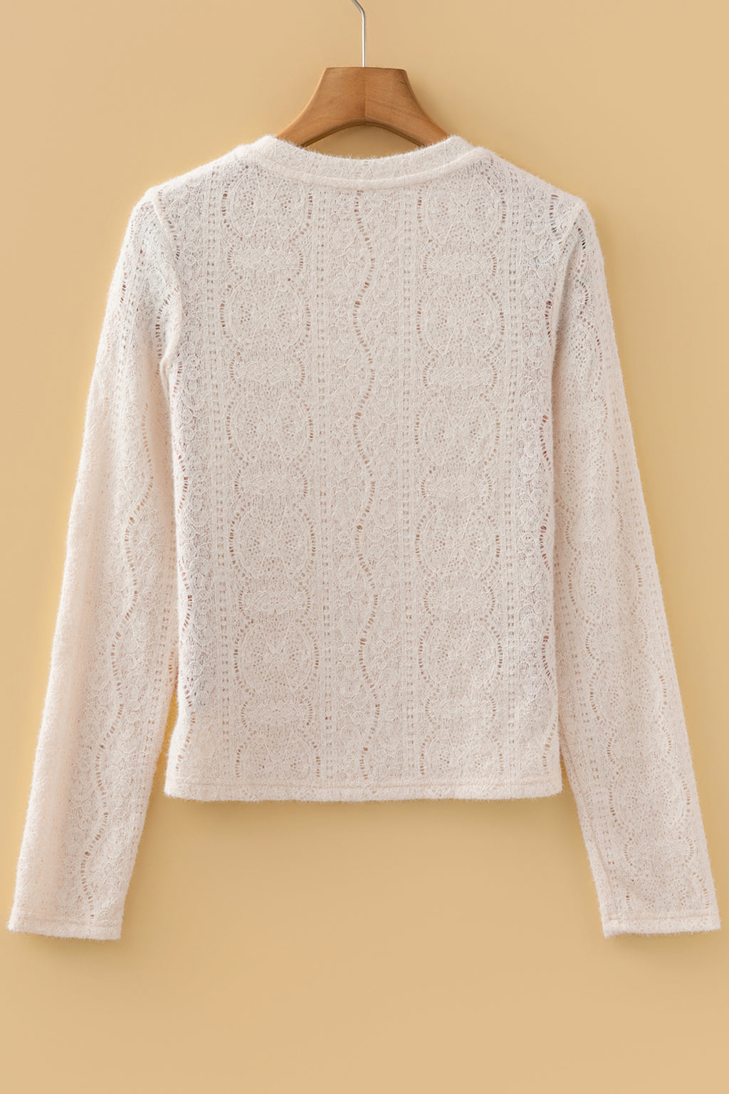 Jet Stream Semi Sheer Lace Long Sleeve Cropped Top