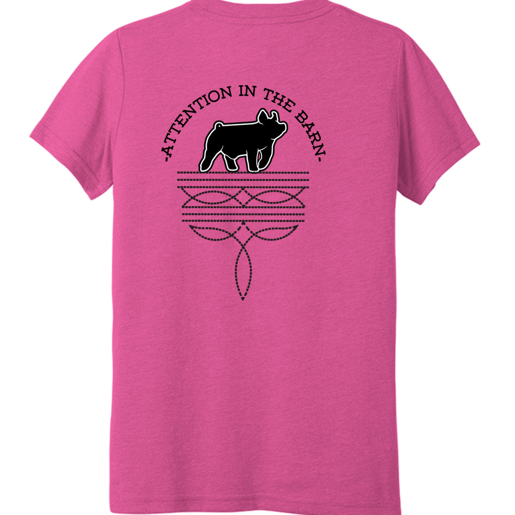 Charity Pink Triblend - BACK