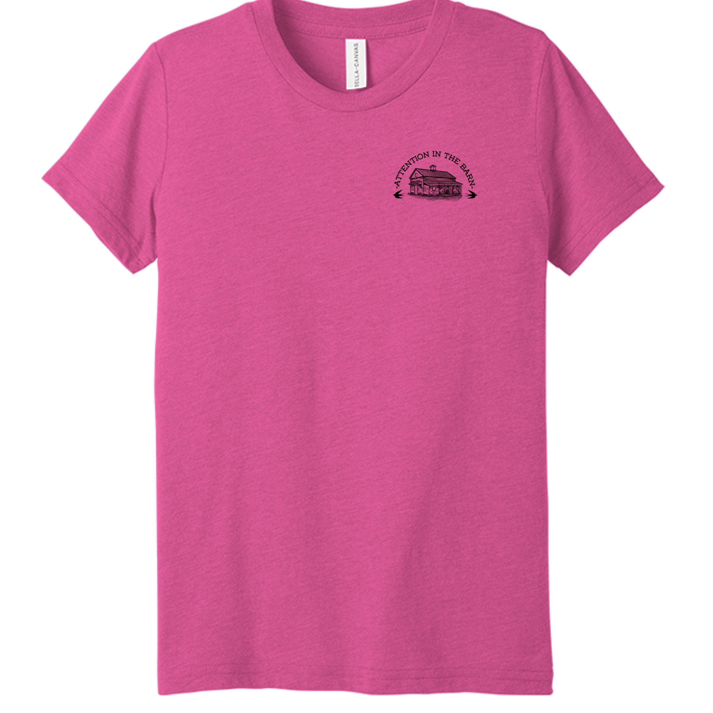 Charity Pink Triblend - FRONT