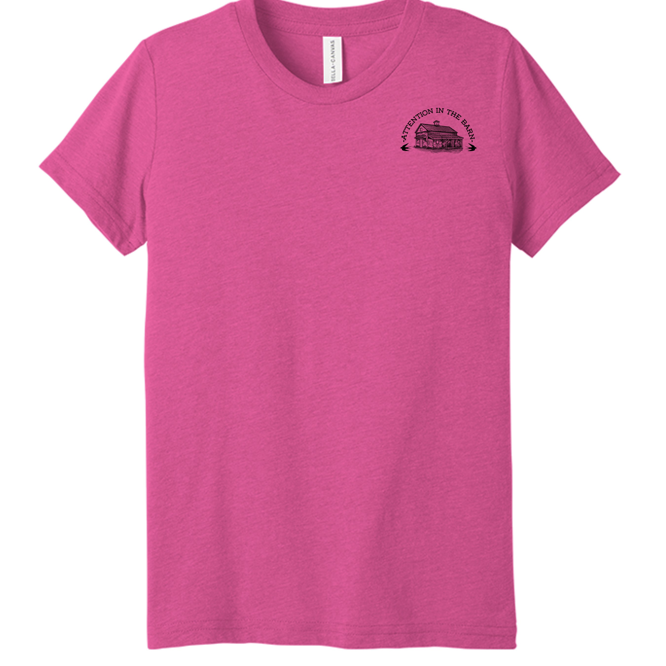 Charity Pink Triblend - FRONT