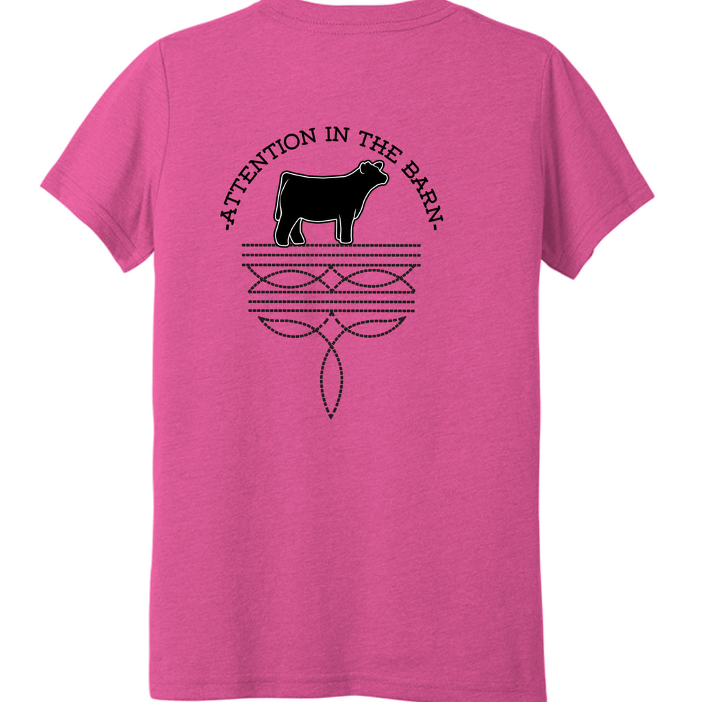 Charity Pink Triblend - BACK