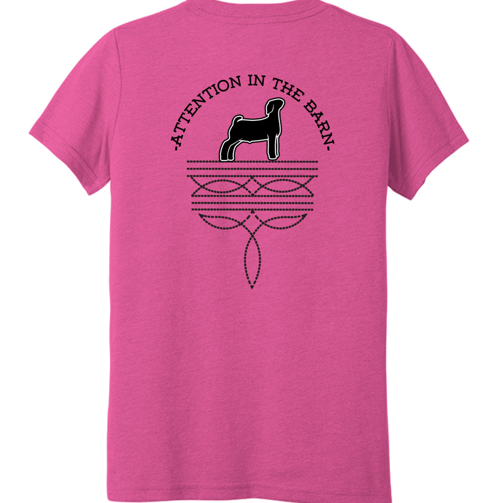 Charity Pink Triblend - BACK