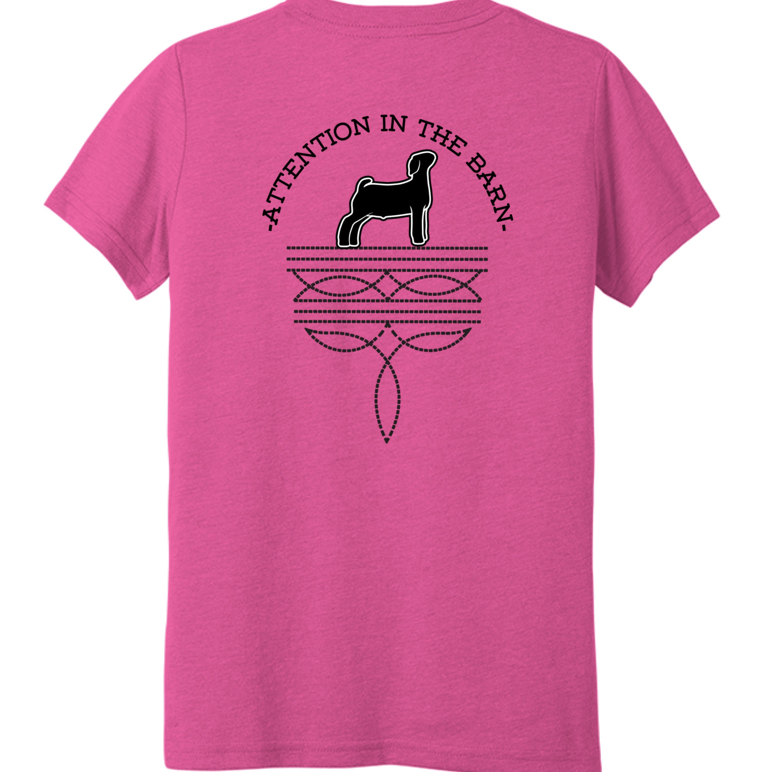 Charity Pink Triblend - BACK