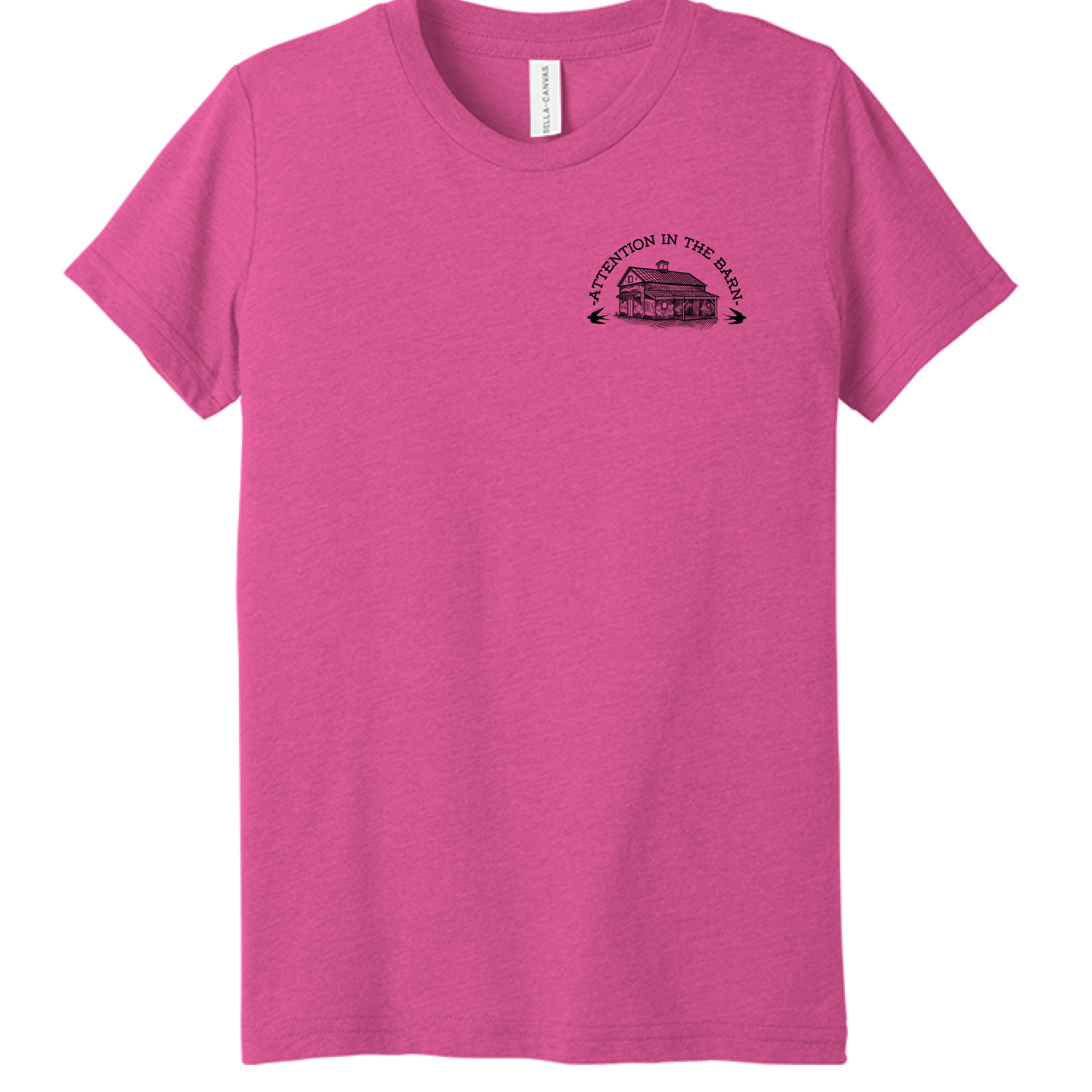 Charity Pink Triblend - FRONT